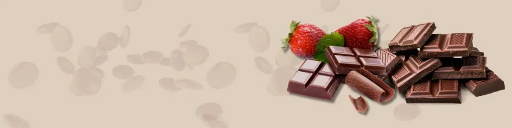 Chocolate Fudge Chocolate Fudge