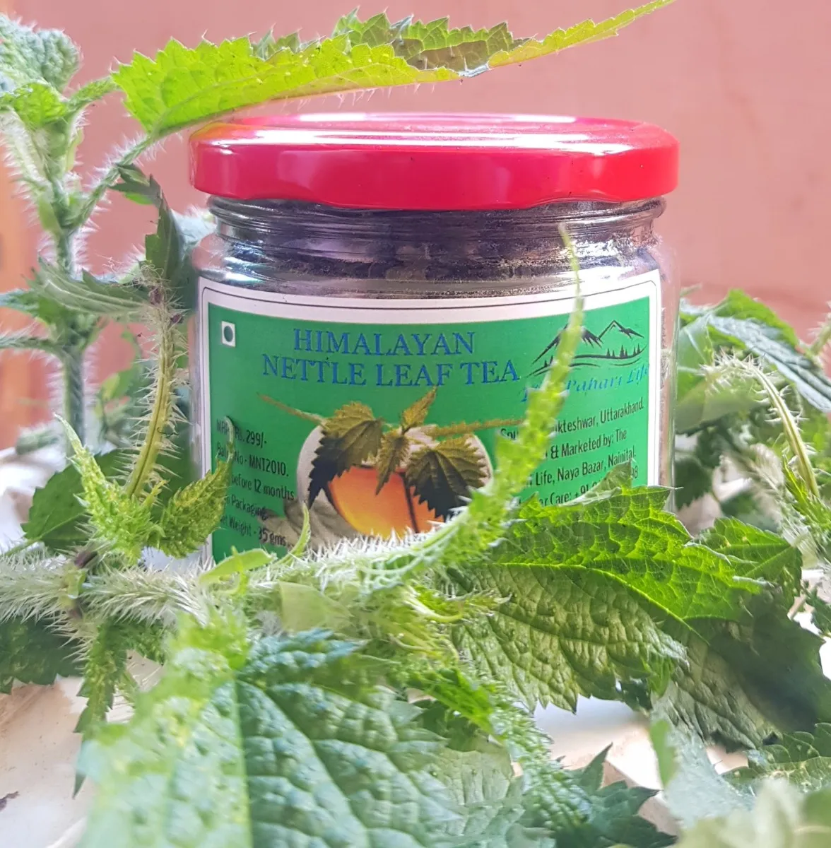 Nettle Tea from Almora (35gm)