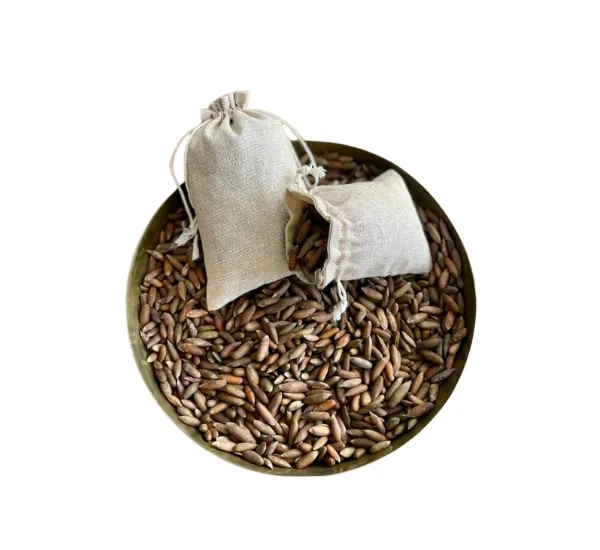 Chilgoza Pinenut from Kinnaur Himachal (100g)