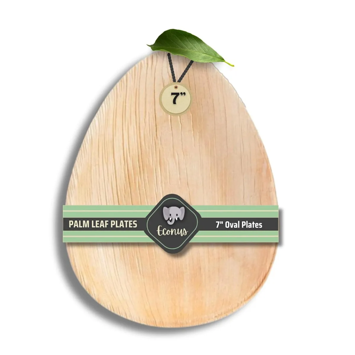 Export Quality 7-inch Oval Shaped Plates| Pack of 50| Disposable Areca Leaf Plate Eco-Friendly Biodegradable for Functions Weddings Parties