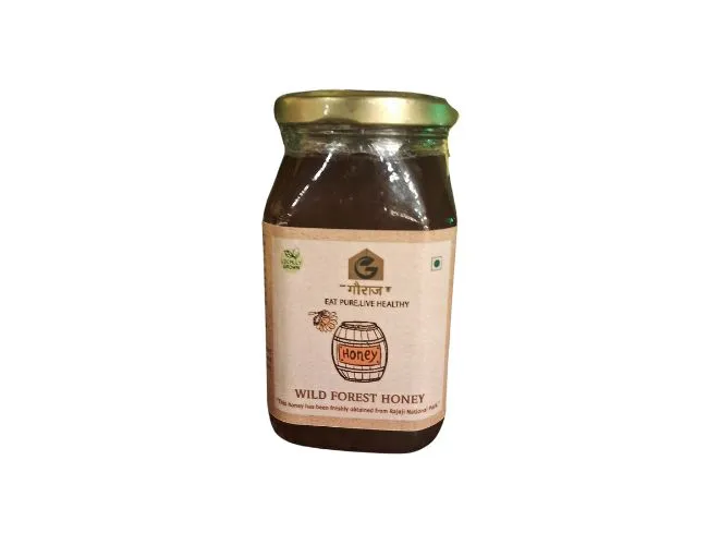 Wild Forest Honey from Dehradun (500g)