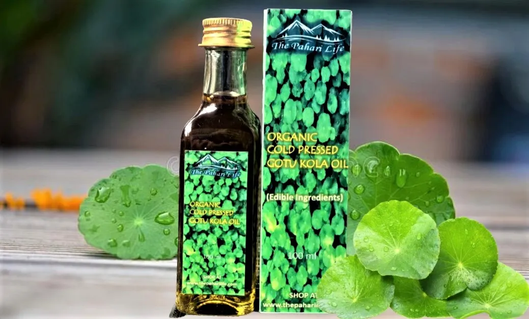 Cold Pressed Gotukola Oil (Certified Organic) from Ranikhet (100 ml)