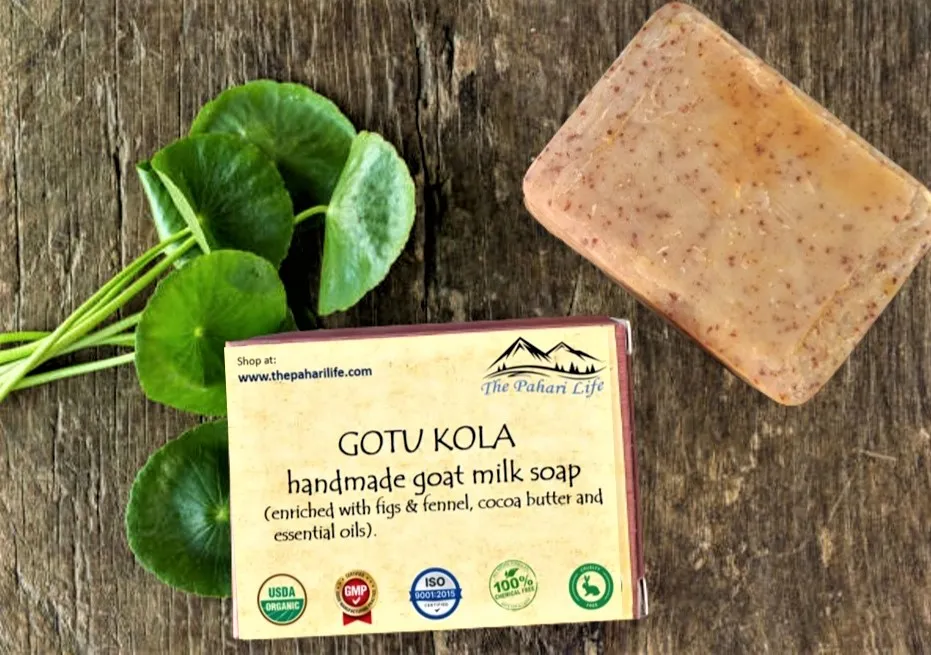 Gotukola goat milk soap from Ramgarh (75 grams)
