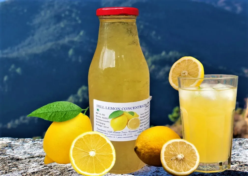 Hill Lemon Concentrate from Kanatal (550 ml)