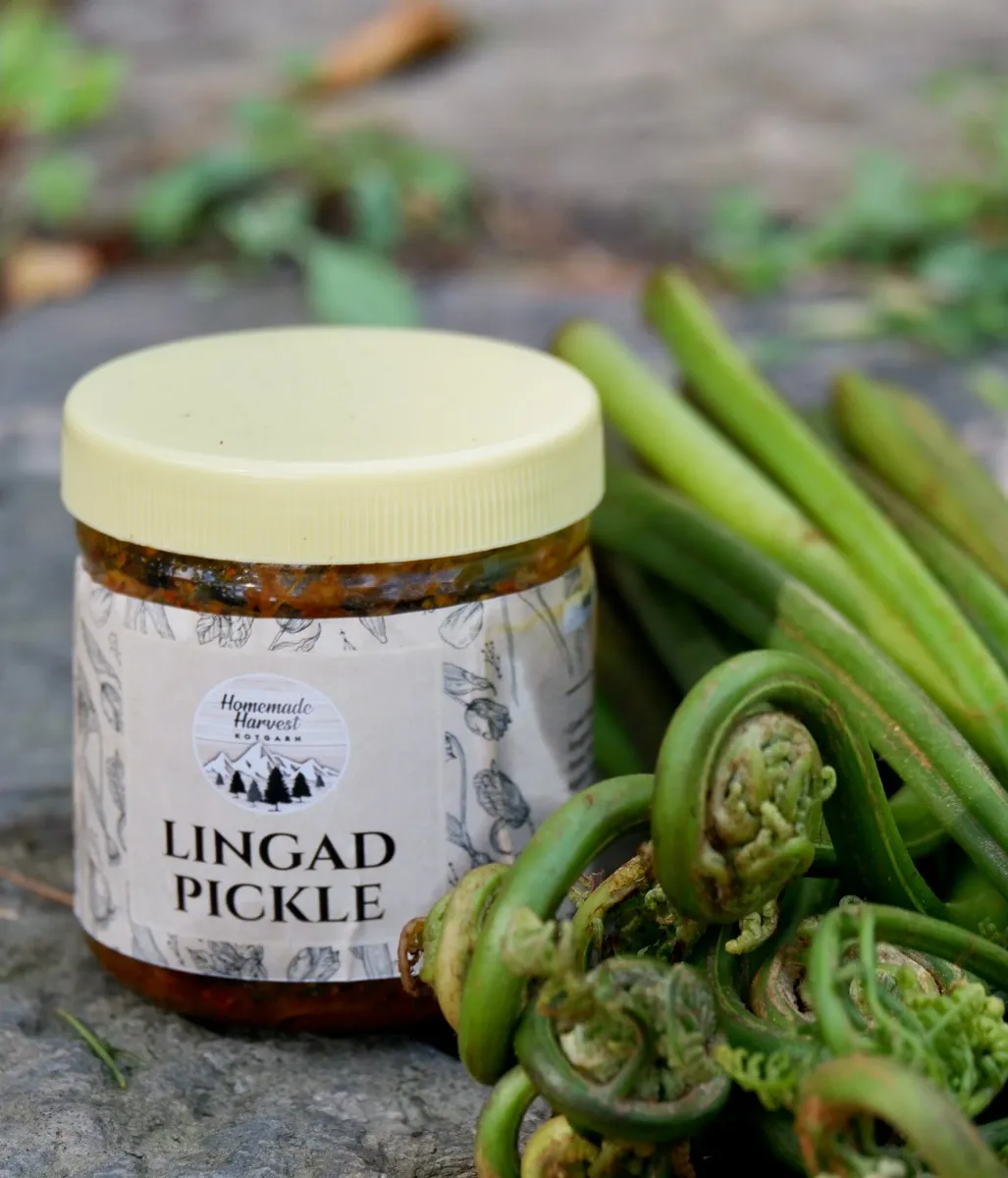 Lingad Pickle from shimla Himachal 150g (Pack of 2)