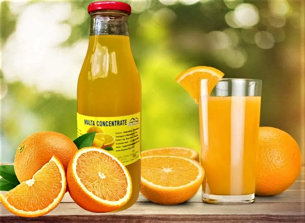 Malta Concentrate from Kanatal (550 ml)