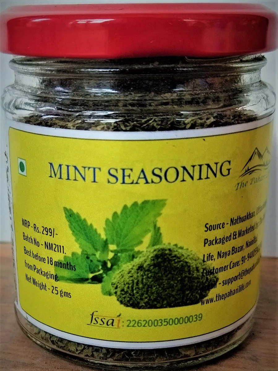 Mint Seasoning from Bhimtal (35gm )