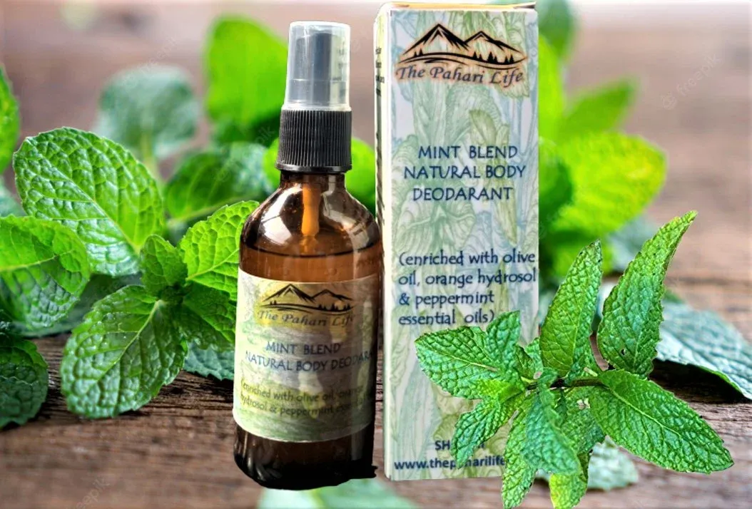 Mint blend natural body deodorant from Auli (50 ml)