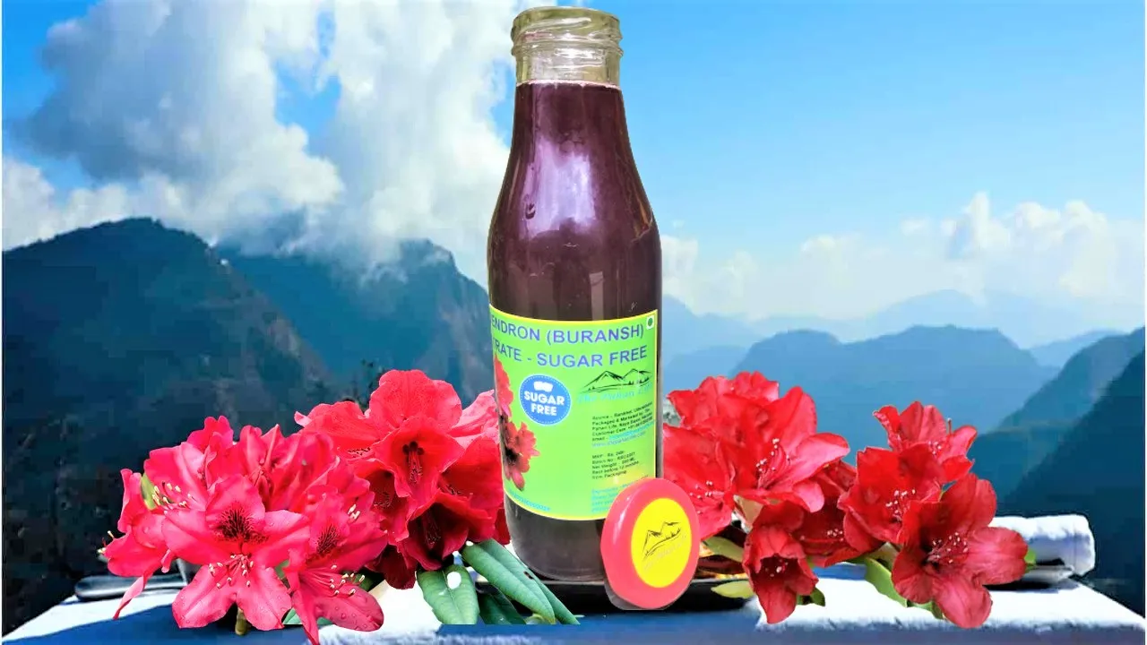 Sugarfree Rhododendron Concentrate from Almora (550 ml)