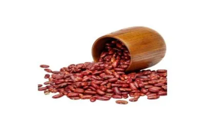 Millets Organic Foods